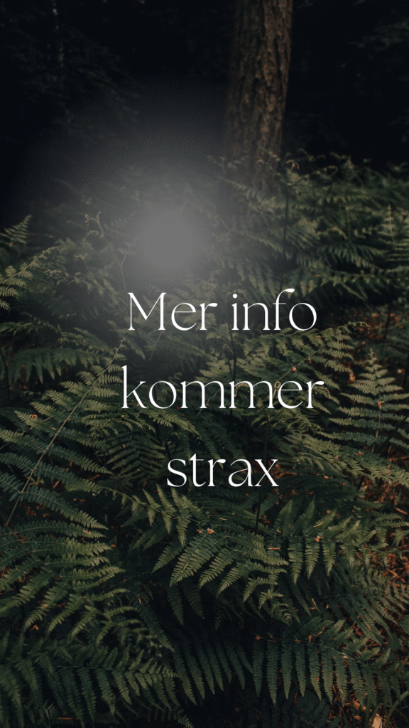 Ormbunkar-Mer-Info-kommer